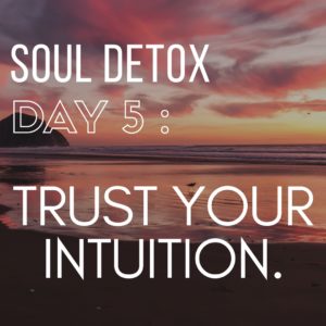 Soul Detox 5